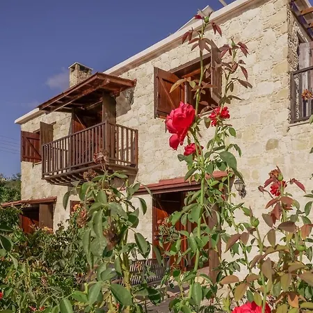 Phaedrus Living: Amarakos Πάφος